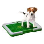 Tapete Baño Entrenador De Mascotas - Image 4