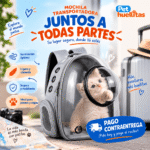 Mochila transportadora mascotas pd-21